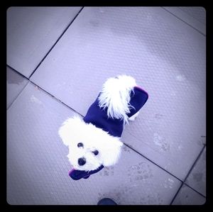 Meet your Posher, Troubles